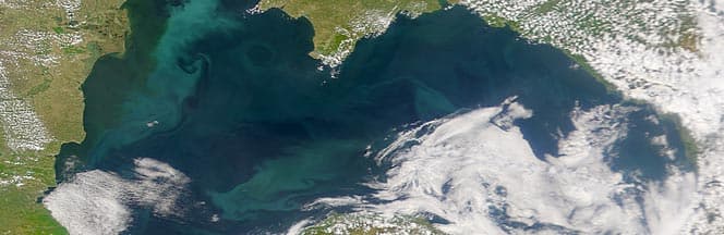 Отдых на море в Лазаревском отдых на Черном море
