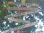 DC130711095902~0.jpg