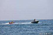 IMG_6347.jpg