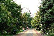 DSC05421.jpg