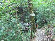 IMG_1163.jpg