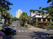 P8302044-1.jpg