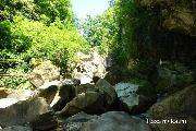 DSC02651.jpg