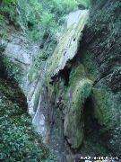 DSC06581.jpg