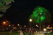 DSC05752.jpg