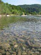 IMG_0638.jpg
