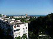 P1000007.jpg