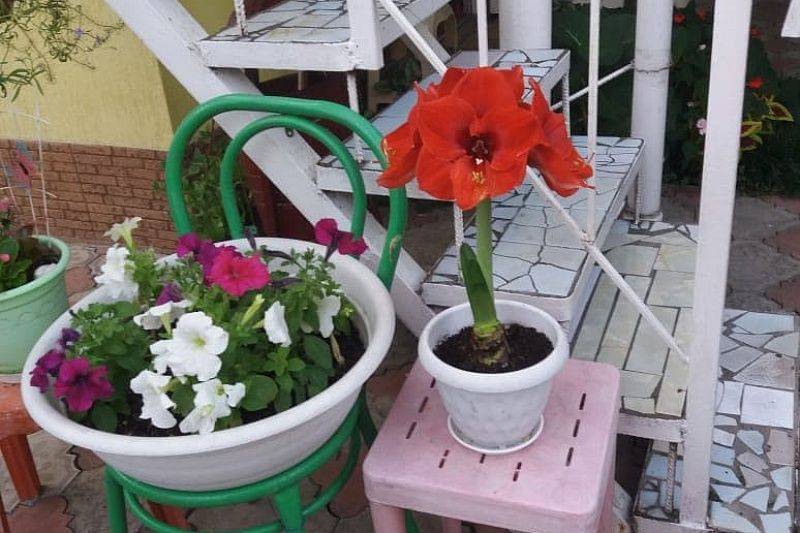 Частный сектор в Лазаревском