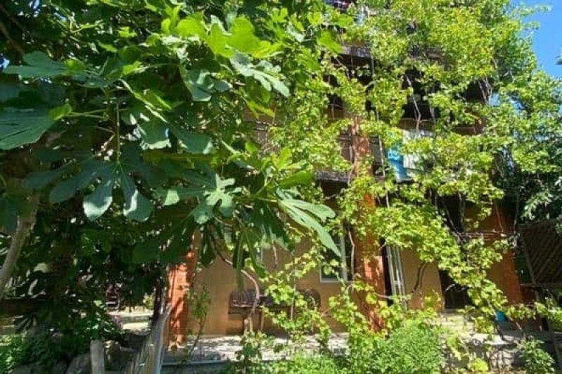 Гостевой дом "Виноград" в Вишневке